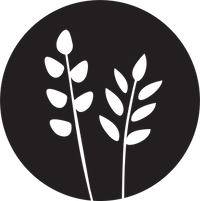 logoImage